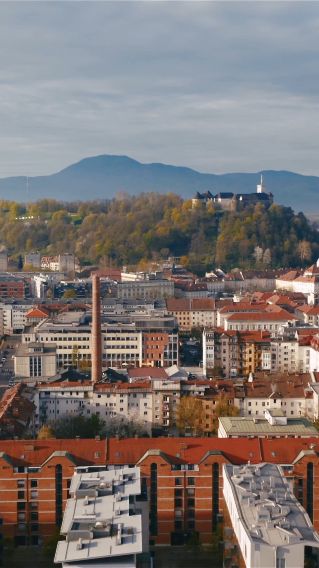 Some offices work for you and Vilharia works for the planet too.
Say hi to Slovenia’s greenest office building. 💚