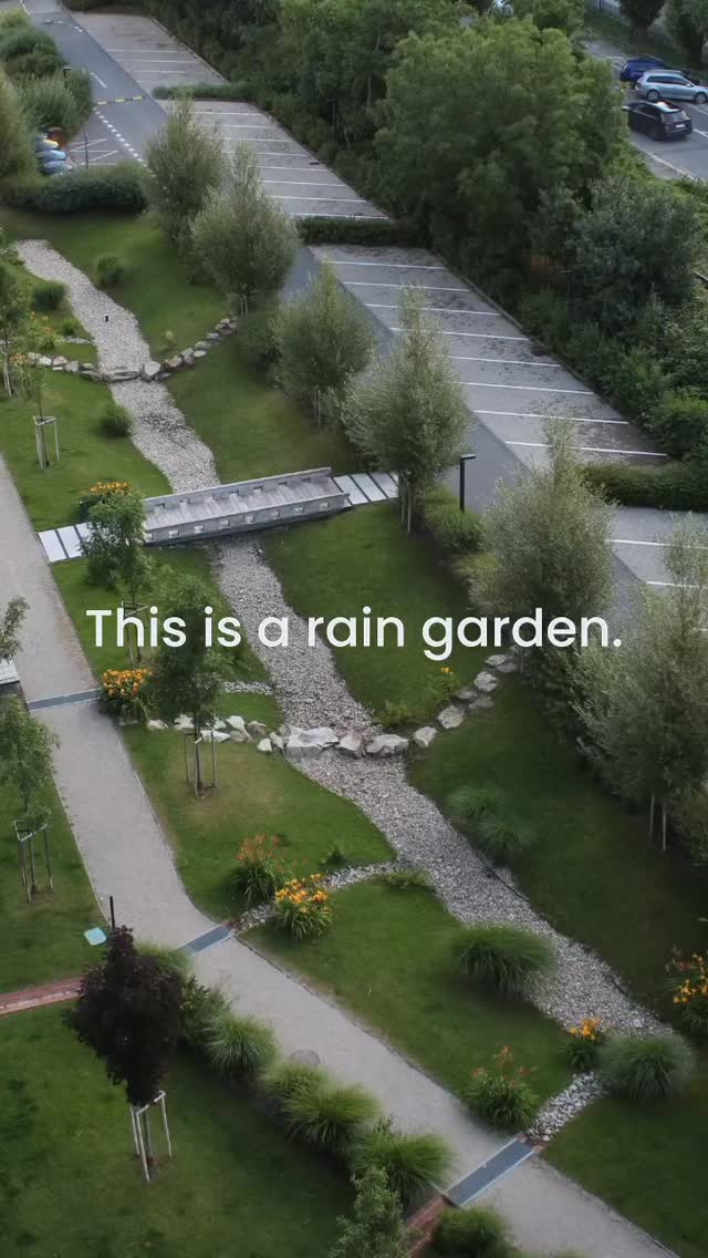 Rainy days have their purpose 🌧️

This is the #rain #garden at #Guthaus doing exactly what it’s meant to do collecting rainwater and letting it slowly soak back into the ground.

A simple system that helps the space handle rain naturally. 🌱