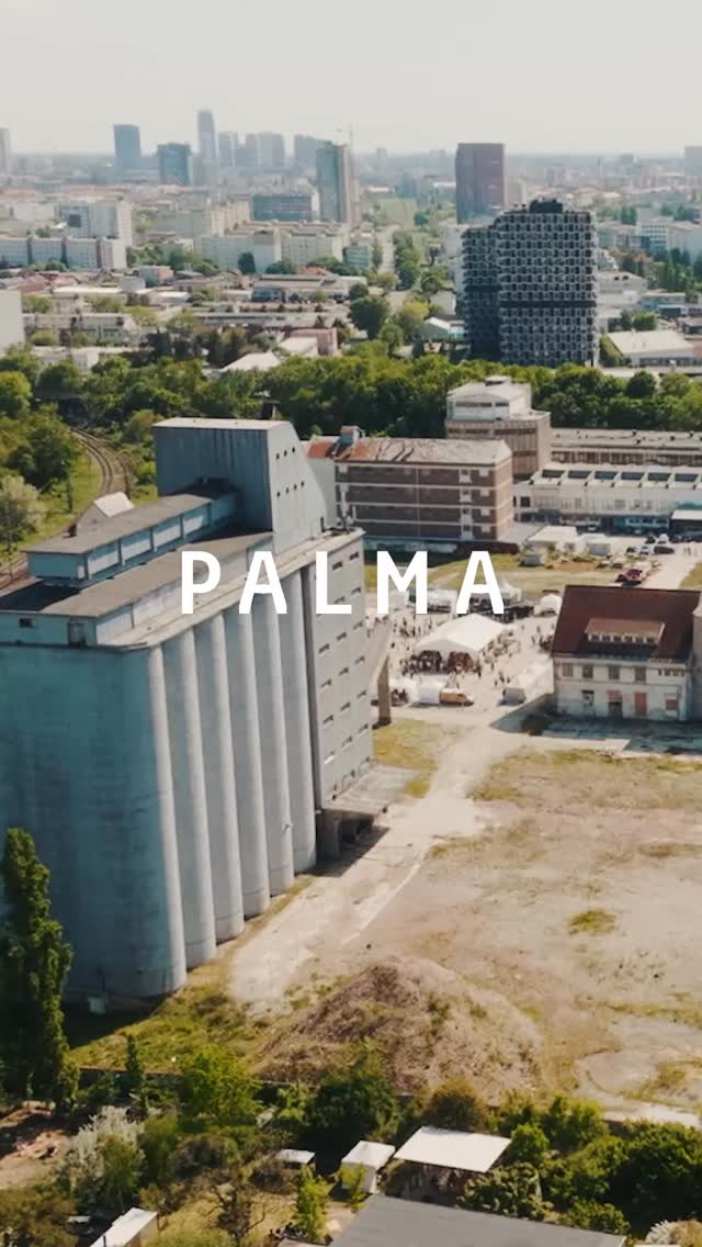 Palma LIVE 2026 sa blíži 🥳

Už to cítiť vo vzduchu! A kto bol minulý rok, vie presne, o čom hovoríme. 💛 Atmosféra, rozhovory, ľudia, dobré jedlo a lokálni predajcovia...

Pripomeňte si, prečo by ste si na 1. máj 2026 mali nastaviť pripomienku a doraziť na Račiansku 76. 📍
Vidíme sa